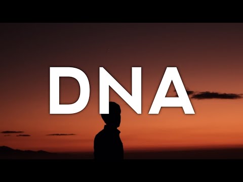 Craig David & Galantis – DNA Lyrics
